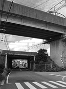 新幹線と在来線が仲良く並んでいます。